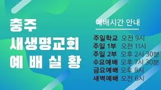 [충주새생명교회] 오늘의 말씀 (1월19일) 더 이상 소망이 없습니까?(막5:25-29) 손성찬 목사