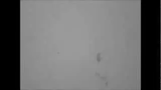 The sun (13/4/2012) through baader solar filter.