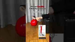 planter fascitis #painrehabb #pain #heelpaintreatment #heelpainrelief #heelpain #physiotherapy