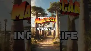 🦁 MADAGASCAR in REAL LIFE! | AI-Generated #madagascar #dreamworks #real