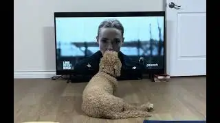 (Mostly) Eleanor Watching Long Bright River promo (2025)