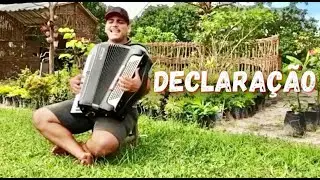 Declaração - Matheus do Acordeon (cover)