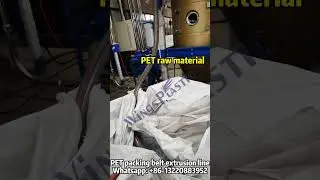 PET Packing Belt Extrusion Line