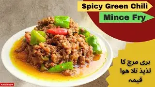 QUICK Sahri Recipes With Green Chili\Spicy Green Chili Mince / ہری مرچ کا لذیذ تلا ھوا قیمہ