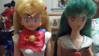 WE DO NOT KNOW ABOUT Parallel Sailor Moon