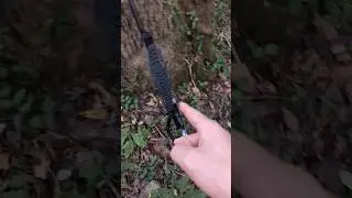 Evening fall squirrel hunt #wildlife #hunting #outdoors #wildernessseason #deerhunting