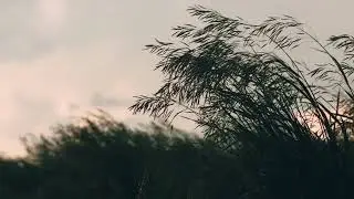 Whisper Music Video #AGeditchallenge