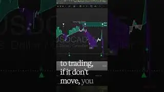 FX Morning Mayhem - WaveriderTradingTechnologies - Leverage the AI Edge - Syzygy AI Edge
