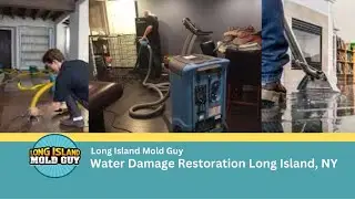 Water Damage Restoration Long Island NY | Long Island Mold Guy