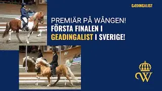 Gæðingalist på Wången