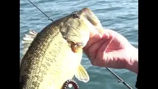 Minnesota Fishing Opener Right Around The Corner