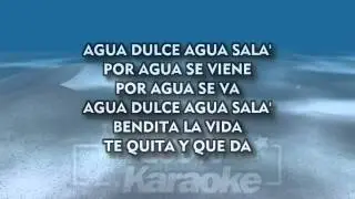Julio Iglesias   Agua Dulce, Agua Salá   Karaoke MM