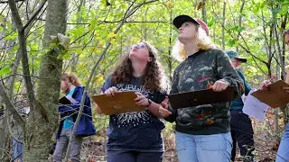 Virginia Tech students examine chestnut blight in local forests