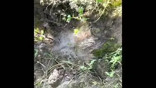 SPRING SEASON NAP BY THE STREAM (SoundScape - Ad Free)