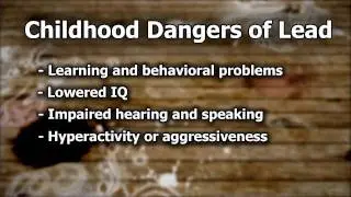 Healthy Home, Home Hazards: Lead