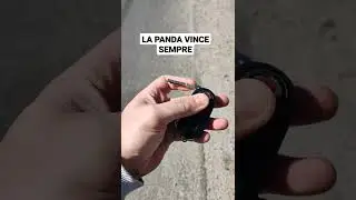 LA PANDA VINCE SEMPRE