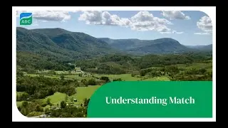 Understanding Match