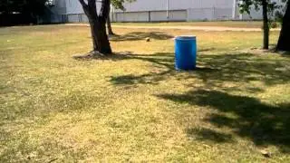 At the park playin around
