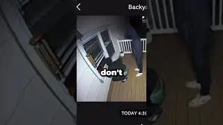 Guard Dog SAVED The House From A Thief (@twaldron1)