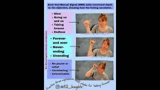 American Sign Language ASL Insights: Non-Manual Signals in &ldquo;Taking Forever&rdquo;