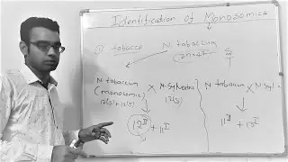 Monosomics Part 4 (Monosomic Analysis) | Locating Genes on Chromosomes in Polyploid Crops |Monogenic