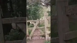 sweet kissing gate