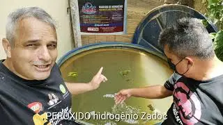 COMO DEIXEI MINHA ÁGUA DE  POÇO CRISTALINA - PISCINA AGUA DE POÇO CRISTALINA PERÓXIDO HIDROGÊNIO