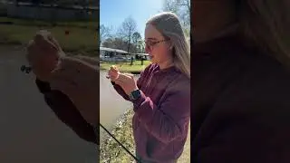 Fishing for catfish