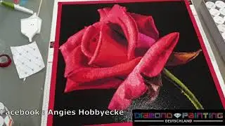 Review Rose von Diamond Painting Deutschland