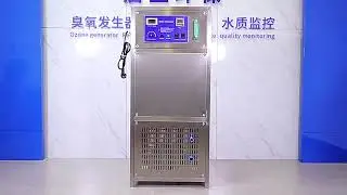 Oxygen Source Feeding 10g Ozone Water Generator for Ozone Water Mixing