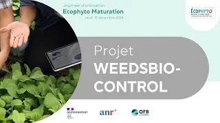 WEEDSBIOCONTROL&ndash; R&eacute;sultat Finaux &ndash; Journ&eacute;e Ecophyto maturation 2024