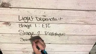 Photosynthesis - Unit 3 AP Biology Final