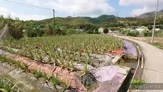 水婆婆山 小欖山