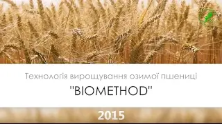 Технологія вирощування Озимої пшениці (БІОМЕТОД) NOVA STUDIO