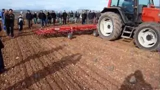 herse &eacute;trille sur lavandin