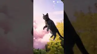 Амур, животные, #ДеньСвятогоВалентина, #кот. 🥰🐈