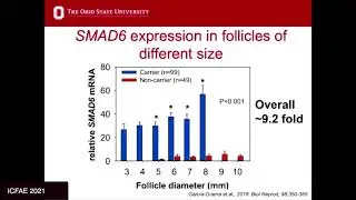 Endocrine control of follicle selection in ruminants: A tale of multiple ovulations in cattle...