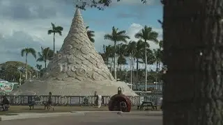 Discover the 35-foot Sandi Tree: A 700-ton holiday sand sculpture