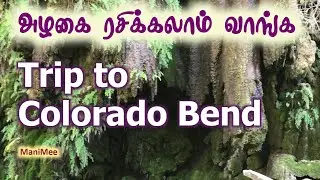 அழகை ரசிக்கலாம் வாங்க | Trip to Colorado Bend | USA Vlog Tamil | 