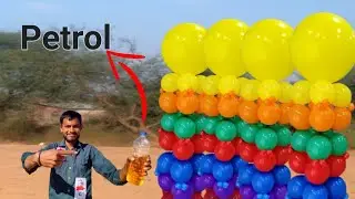 Balloons Vs Petrol  | Big Experiment With Big balloons