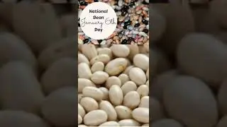 National Bean Day - 6 January- International days