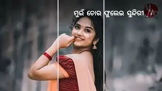 Dine Mate Marbu Jhuri || Umakant Barik ||💔Sambalpuri Sad status😢||💟#share4share🥺#MMO #sonepurodisha