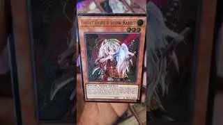 Ghost Ogre & Snow Rabbit (OP05-EN001) (UL)