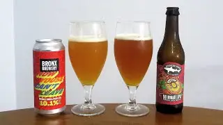 Bronx Brewery Now Youse Cant Leave vs Dogfish Head 90 Minute IPA
