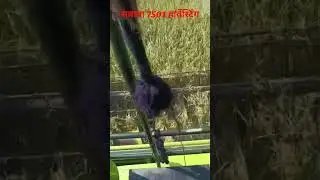 #savana #sava #7501 #farming horwesting
