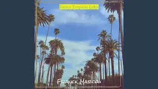 Fiesta Tropical India