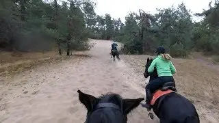 Buitenrit 'Sahara' - Manege De Hazelhorst - 24 oktober 2018