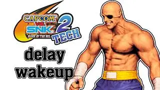 [CvS2 Tech] Delayed Wakeup