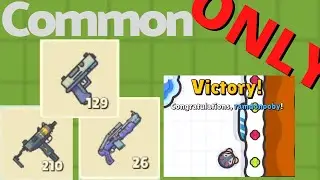 Common Only Challenge! // Zombs Royale.io