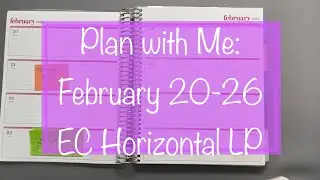 Plan With Me: Erin Condren Horizontal Planner